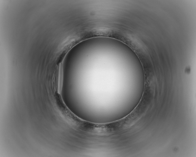 X0000093750744200710231232