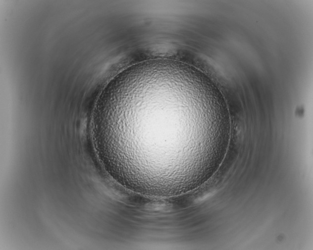 X0000093750745200710231232