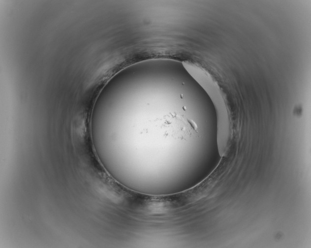 X0000093750746200710231232