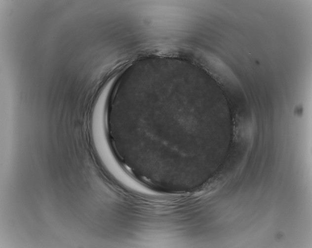 X0000093750748200710231232