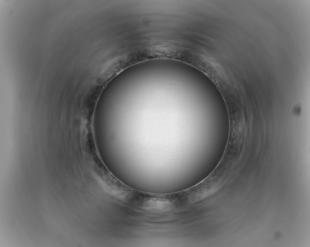 X0000093750749200710231232