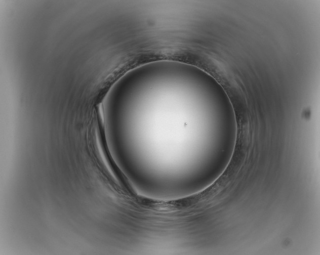 X0000093750750200710231232