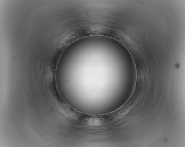 X0000093750751200710231232