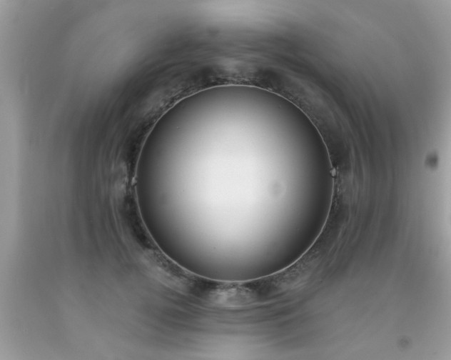 X0000093750752200710231232