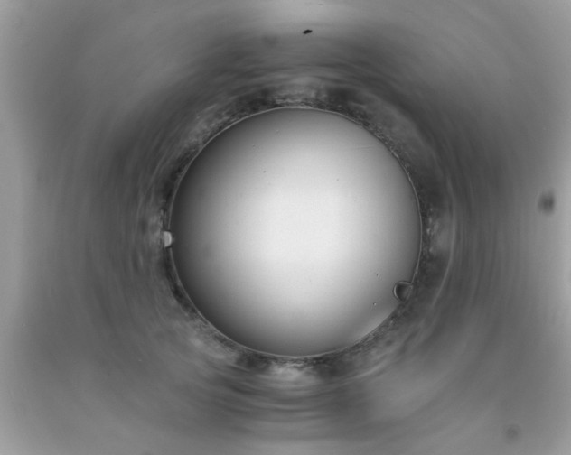 X0000093750753200710231232