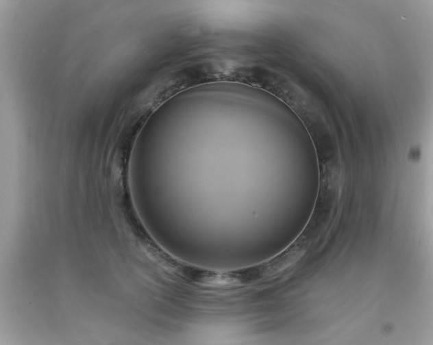 X0000093750754200710231232