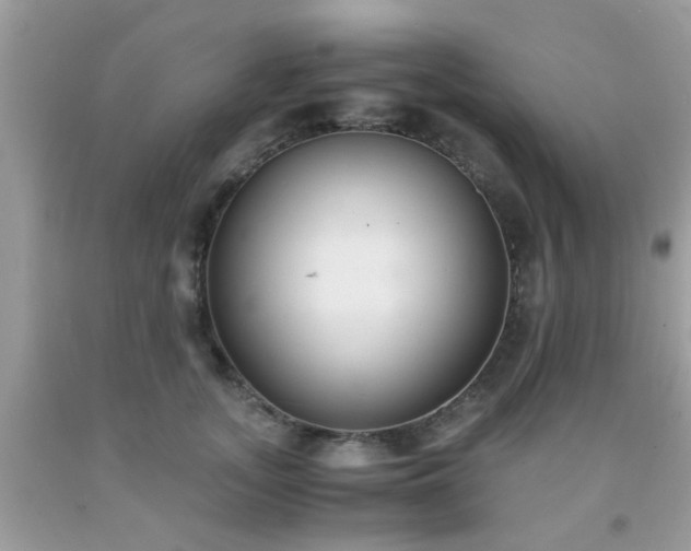 X0000093750755200710231232