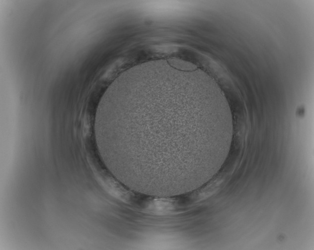 X0000093750758200710231232