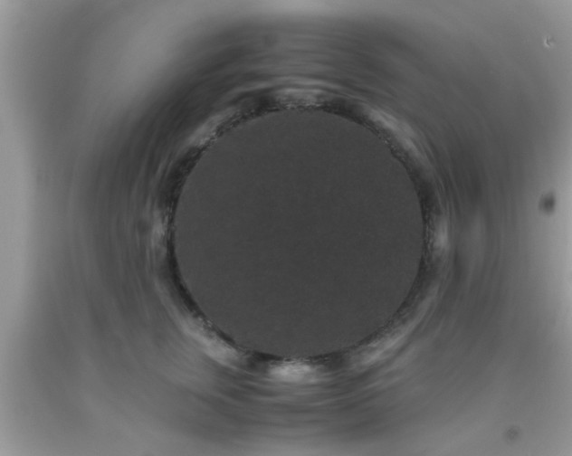 X0000093750759200710231232