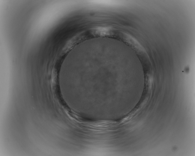 X0000093750760200710231232