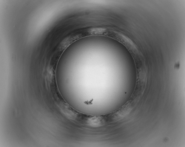 X0000093750761200710231232