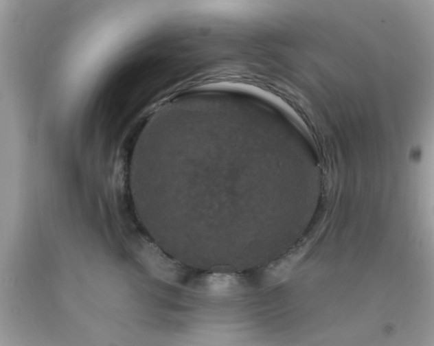 X0000093750762200710231232