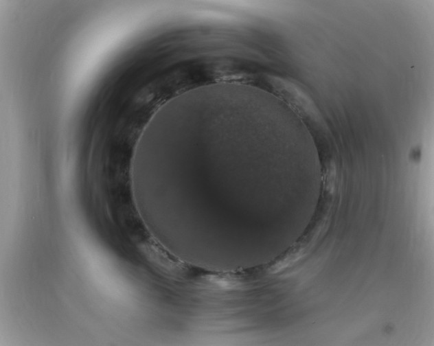 X0000093750763200710231232