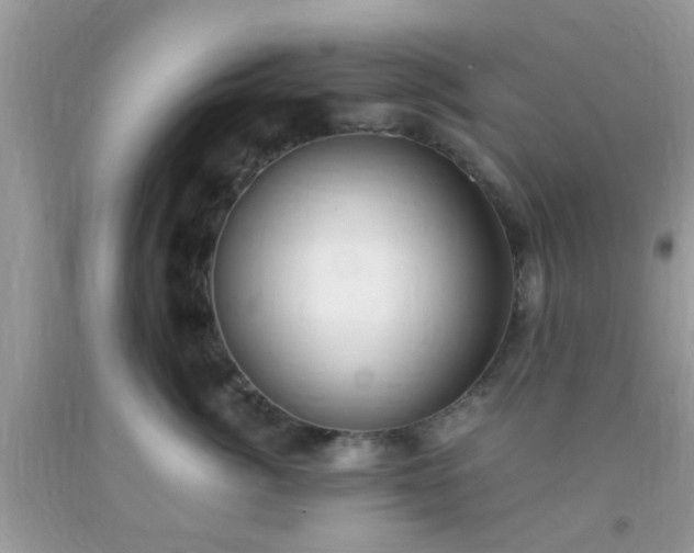 X0000093750764200710231232