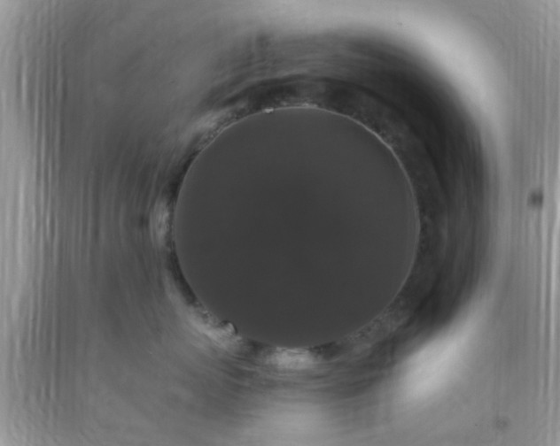 X0000093750767200710231232