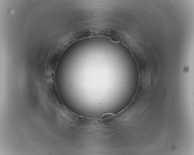 X0000093750770200710231231