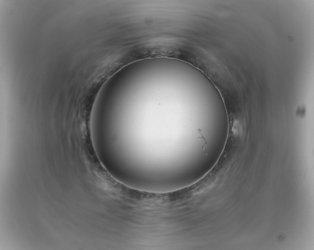 X0000093750771200710231231