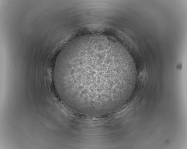 X0000093750772200710231231