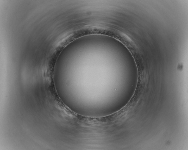 X0000093750774200710231231