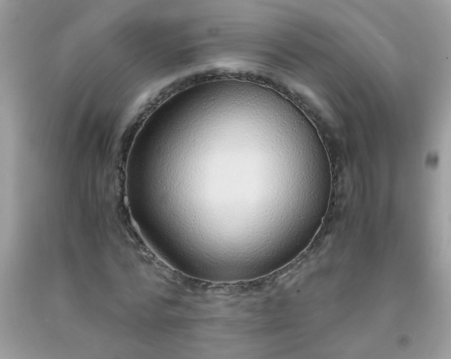 X0000093750776200710231231