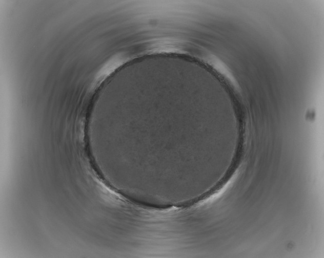 X0000093750777200710231231