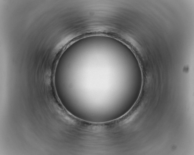 X0000093750778200710231231