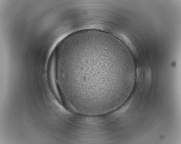 X0000093750780200710231231