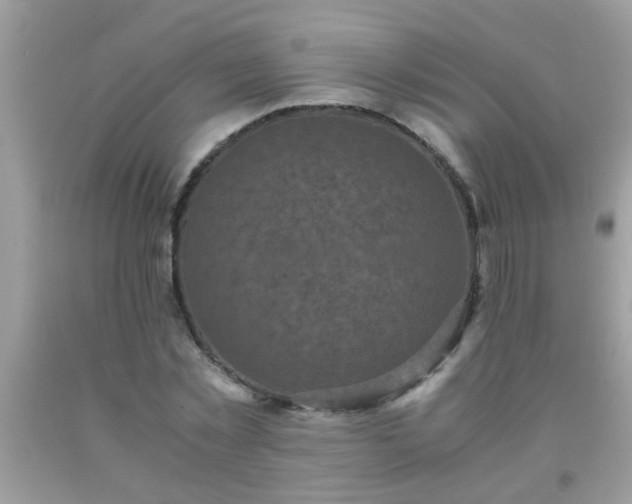 X0000093750781200710231231