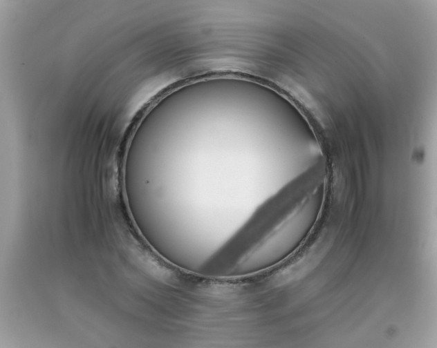 X0000093750782200710231231