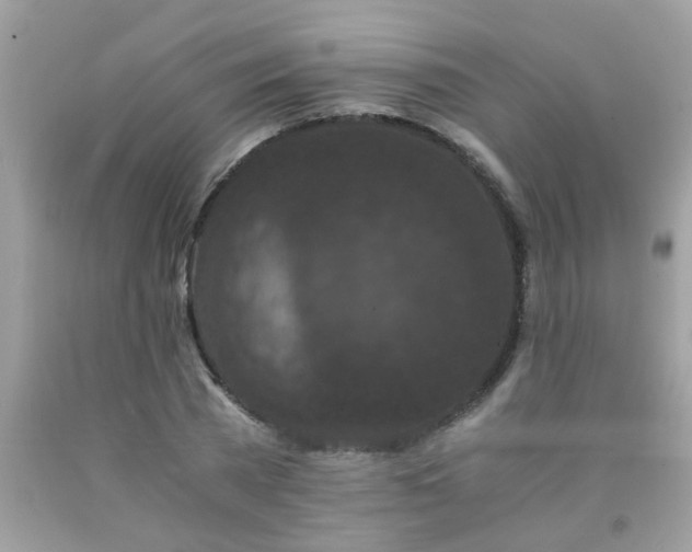 X0000093750785200710231231