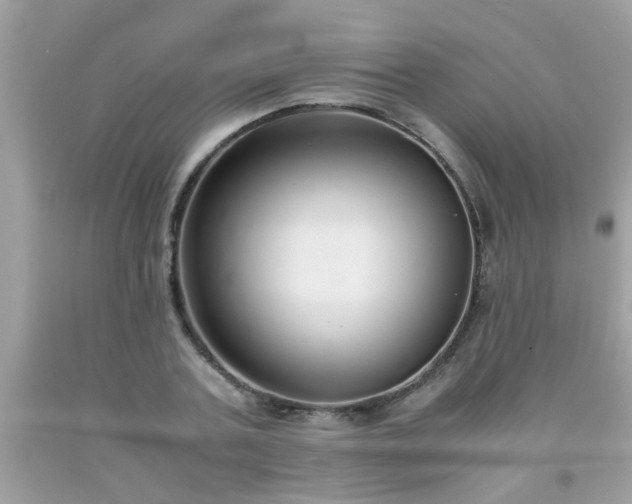 X0000093750787200710231231