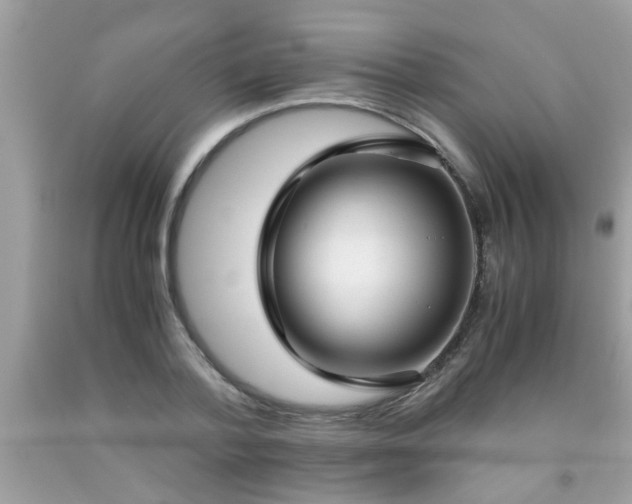 X0000093750788200710231231