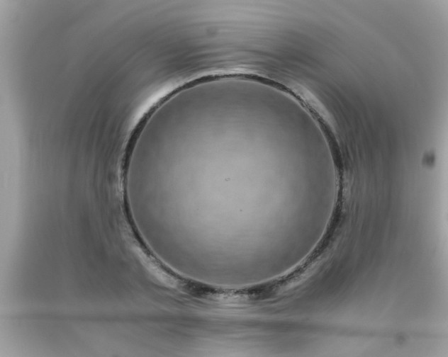 X0000093750789200710231231