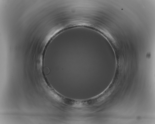 X0000093750790200710231231
