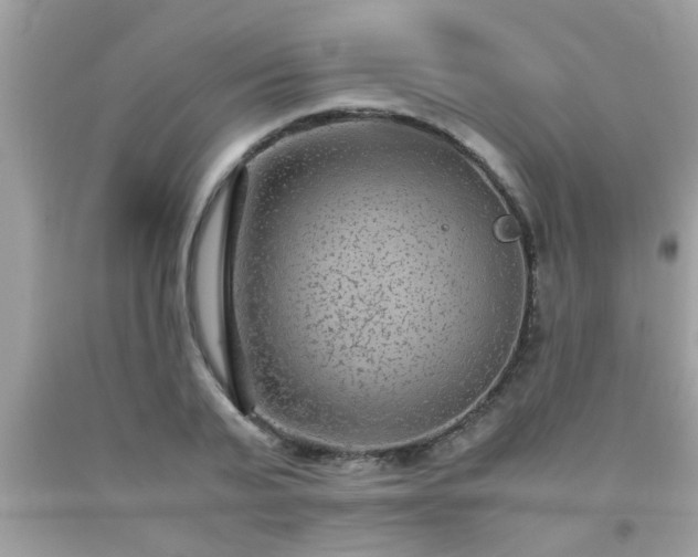 X0000093750791200710231231