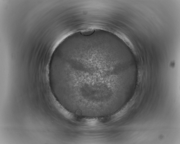 X0000093750798200710231231