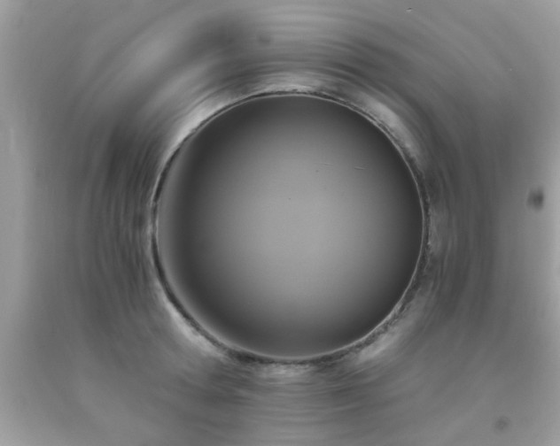 X0000093750802200710231231