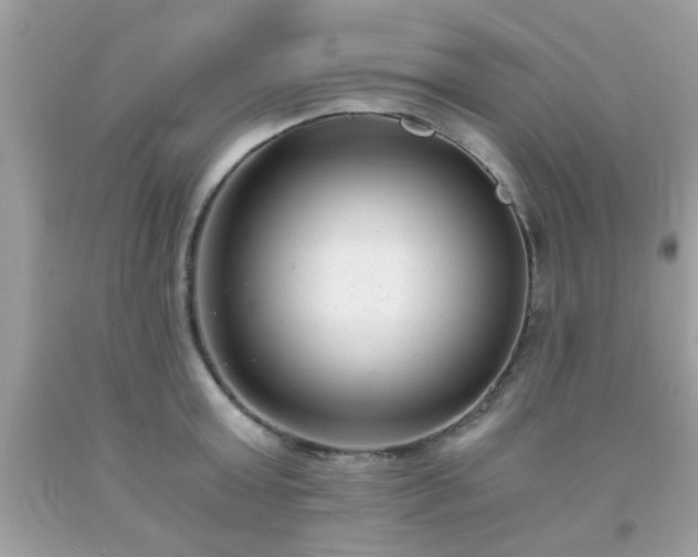 X0000093750803200710231231