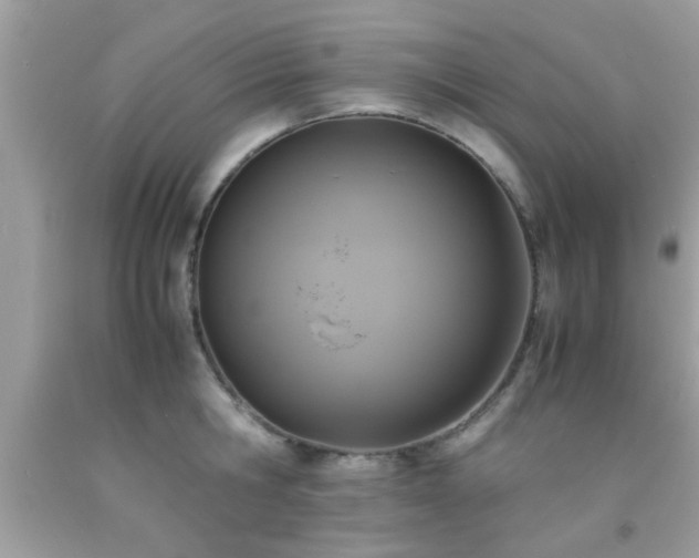 X0000093750806200710231231