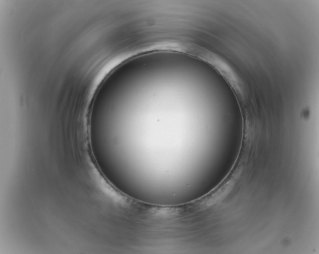 X0000093750808200710231231