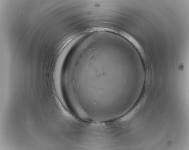 X0000093750809200710231231