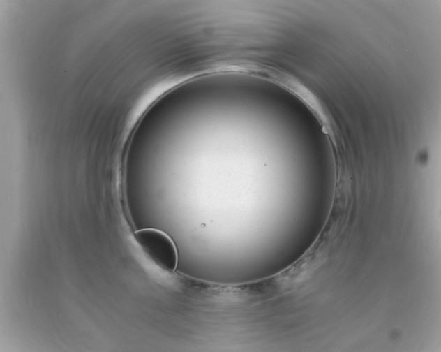 X0000093750811200710231231