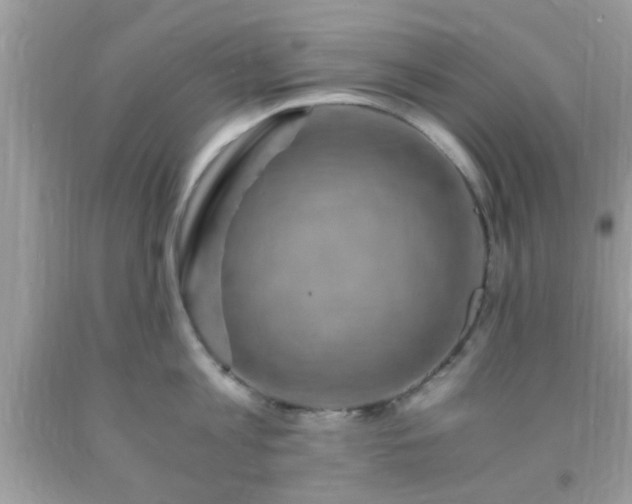 X0000093750813200710231231
