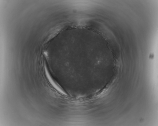 X0000093750818200710231230