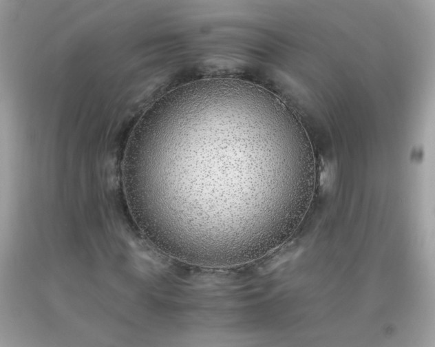 X0000093750819200710231230
