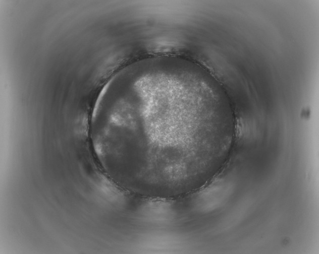 X0000093750820200710231230