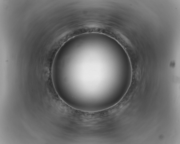 X0000093750821200710231230