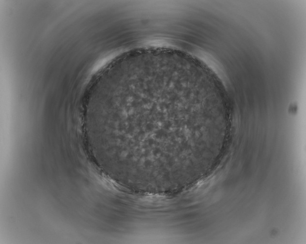 X0000093750823200710231230