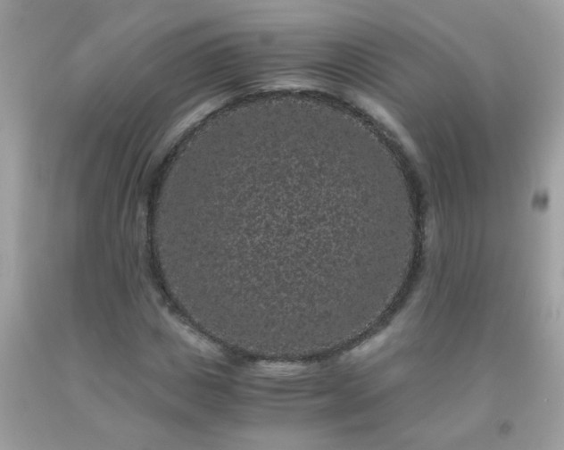 X0000093750825200710231230