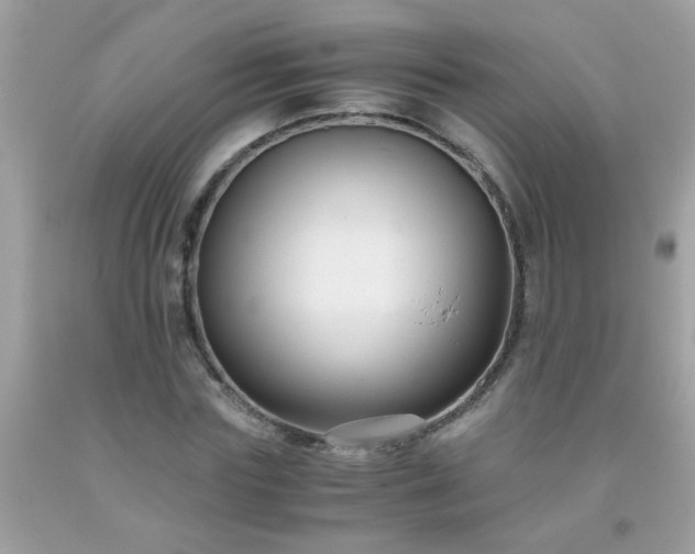 X0000093750827200710231230